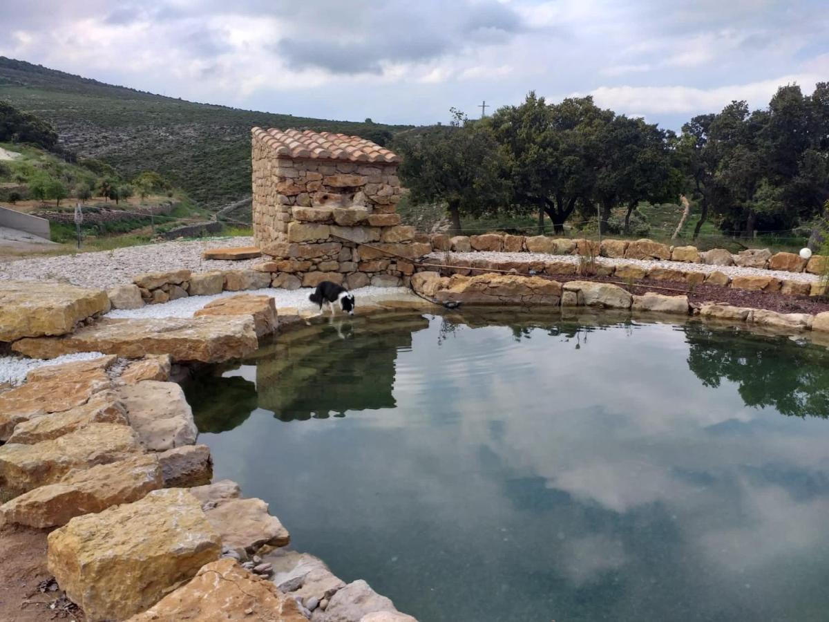 הוילה קויה Masia De Maria מראה חיצוני תמונה
